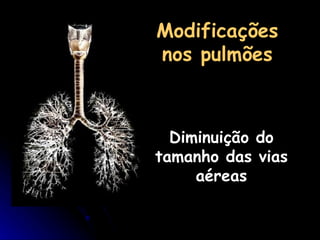Modificações nos pulmões Diminuição do tamanho das vias aéreas 