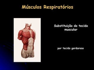 Músculos Respiratórios   Substituição do tecido muscular por tecido gorduroso 