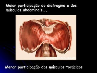Maior participação do diafragma e dos músculos abdominais... Menor participação dos músculos torácicos 