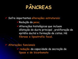 PÂNCREAS Sofre importantes  alterações estruturais : Redução do  peso ; Alterações histológicas que incluem dilatação do ducto principal , proliferação de epitélio ductal e formação de cistos. Há  fibrose e lipoatrofia focal .  Alterações funcionais redução  da capacidade de secreção de  lipase e de bicarbonato 
