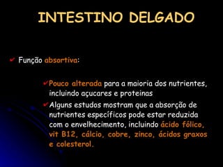 INTESTINO DELGADO Função  absortiva :  Pouco alterada  para a maioria dos nutrientes, incluindo açucares e proteinas  Alguns estudos mostram que a absorção de nutrientes específicos pode estar reduzida com o envelhecimento, incluindo  ácido fólico, vit B12, cálcio, cobre, zinco, ácidos graxos e colesterol.  