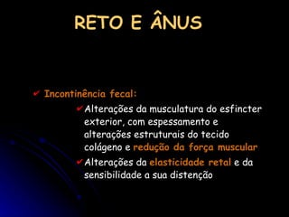 RETO E ÂNUS Incontinência fecal:   Alterações da musculatura do esfincter exterior, com espessamento e alterações estrutur ais do tecido colágeno e  redução da força muscular   Alterações da  elasticidade retal  e da sensibilidade a sua distenção 