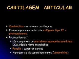 CARTILAGEM  ARTICULAR Condrócitos  secretam a cartilagem Formada por uma matriz de  colágeno tipo II + proteoglicanos  Proteoglicanos : são complexos de  proteínas-mucopolissacarídeos  COM rápido ritmo metabólico Função  : suportar cargas Agregam-se glucosaminoglicanos ( condroitina ) 