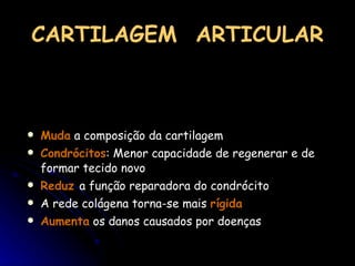 CARTILAGEM  ARTICULAR Muda  a composição da cartilagem Condrócitos : Menor capacidade de regenerar e de formar tecido novo Reduz  a função reparadora do condrócito A rede colágena torna-se mais  rígida Aumenta  os danos causados por doenças 