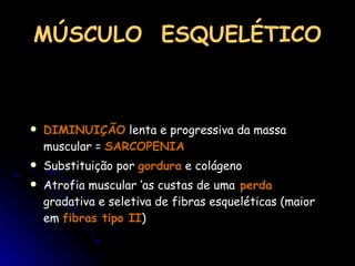 MÚSCULO  ESQUELÉTICO DIMINUIÇÃO  lenta e progressiva da massa muscular =  SARCOPENIA Substituição por  gordura  e colágeno Atrofia muscular ‘as custas de uma  perda  gradativa e seletiva de fibras esqueléticas (maior em  fibras tipo II ) 