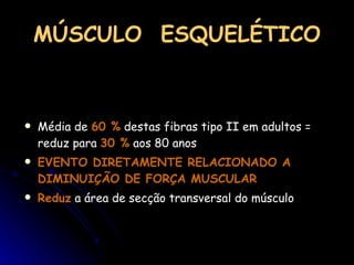 MÚSCULO  ESQUELÉTICO Média de  60 %  destas fibras tipo II em adultos = reduz para  30 %  aos 80 anos EVENTO DIRETAMENTE RELACIONADO A DIMINUIÇÃO DE FORÇA MUSCULAR Reduz  a área de secção transversal do músculo 