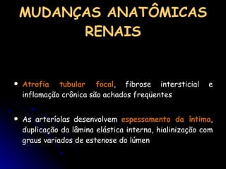 MUDANÇAS ANATÔMICAS RENAIS Atrofia tubular focal , fibrose intersticial e inflamação crônica são achados freqüentes  As arteríolas desenvolvem  espessamento da íntima , duplicação da lâmina elástica interna, hialinização com graus variados de estenose do lúmen 