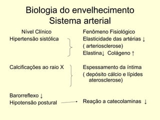Biologia do envelhecimento Sistema arterial Nível Clínico Hipertensão sistólica Calcificações ao raio X  Barorreflexo  ↓  Hipotensão postural  Fenômeno Fisiológico Elasticidade das artérias  ↓  ( arteriosclerose) Elastina↓  Colágeno ↑  Espessamento da íntima  ( depósito cálcio e lípides aterosclerose) Reação a catecolaminas  ↓  