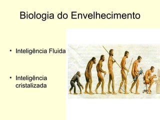 Biologia do Envelhecimento Inteligência Fluida Inteligência cristalizada 
