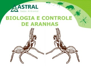 BIOLOGIA E CONTROLE
DE ARANHAS
 