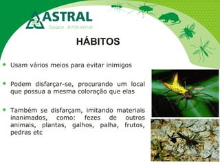 HÁBITOS
 Usam vários meios para evitar inimigos
 Podem disfarçar-se, procurando um local
que possua a mesma coloração que elas
 Também se disfarçam, imitando materiais
inanimados, como: fezes de outros
animais, plantas, galhos, palha, frutos,
pedras etc
 
