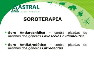 SOROTERAPIA
 Soro Antiaracnídico – contra picadas de
aranhas dos gêneros Loxosceles e Phoneutria
 Soro Antilatrodético - contra picadas de
aranhas dos gêneros Latrodectus
 