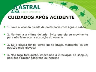 CUIDADOS APÓS ACIDENTE
 1. Lave o local da picada de preferência com água e sabão
 2. Mantenha a vítima deitada. Evite que ela se movimente
para não favorecer a absorção do veneno
 3. Se a picada for na perna ou no braço, mantenha-os em
posição mais elevada
 4. Não faça torniquete, impedindo a circulação do sangue,
pois pode causar gangrena ou necrose
 