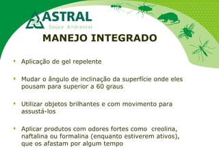 Aplicação de gel repelente
 Mudar o ângulo de inclinação da superfície onde eles
pousam para superior a 60 graus
 Utilizar objetos brilhantes e com movimento para
assustá-los
 Aplicar produtos com odores fortes como creolina,
naftalina ou formalina (enquanto estiverem ativos),
que os afastam por algum tempo
MANEJO INTEGRADO
 
