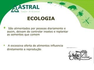 ECOLOGIA
 São alimentados por pessoas diariamente e
assim, deixam de controlar insetos e replantar
as sementes que comem
 A excessiva oferta de alimentos influencia
diretamente a reprodução
 