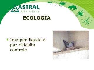 ECOLOGIA
 Imagem ligada à
paz dificulta
controle
 