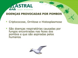 DOENÇAS PROVOCADAS POR POMBOS
 Criptococose, Ornitose e Histosplasmose
 São doenças respiratórias causadas por
fungos encontradas nas fezes dos
pombos e que são aspiradas pelos
humanos
 