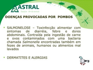 DOENÇAS PROVOCADAS POR POMBOS
 SALMONELOSE – Toxinfecção alimentar com
sintomas de diarréia, febre e dores
abdominais. Contraída pela ingestão de carne
e ovos contaminados com uma bacteria
chamada Salmonella encontradas também em
fezes de animais, humanos ou alimentos mal
lavados
 DERMATITES E ALERGIAS
 