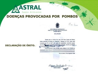 DOENÇAS PROVOCADAS POR POMBOS
DECLARAÇÃO DE ÓBITO.
 