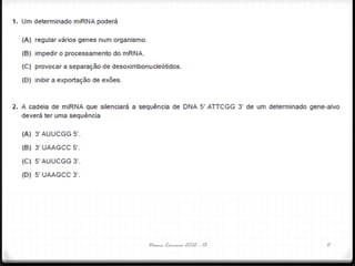 Nuno Correia 2012 - 13 11
 