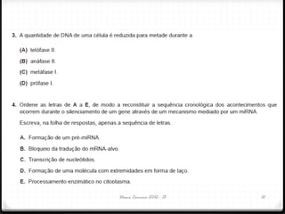 Nuno Correia 2012 - 13 12
 