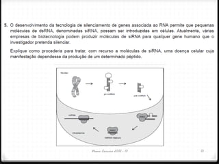 Nuno Correia 2012 - 13 13
 