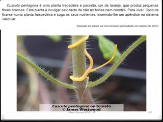 Nuno Correia 2012 - 13 20
 