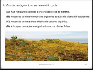 Nuno Correia 2012 - 13 21
 