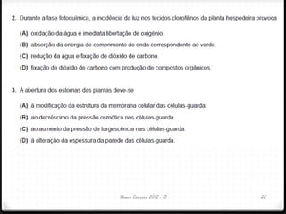 Nuno Correia 2012 - 13 22
 