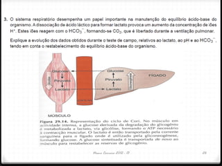 Nuno Correia 2012 - 13 26
 