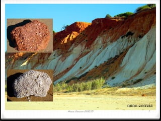 Nuno Correia 2012/13 7
 