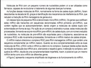 Nuno Correia 2012 - 13 9
 