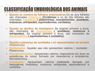CLASSIFICAÇÃO EMBRIOLÓGICA DOS ANIMAIS
 Quanto ao número de folhetos embrionários:Os de dois folhetos
são chamados Diblásticos (Cnidários) e os de três folhetos são
chamados Triblásticos ( platelmintos, nematelmintos, anelídeos,
moluscos, artrópodes, equinodermos, cordados)
 Quanto ao destino do blastóporo: Se originar primeiro a boca,
são chamados de protostomios ( anelídeos, moluscos e
artrópodes). Se originar primeiro o ânus, são chamados de
deuterostômios ( equinodermos e cordados).
 Quanto a presença de cavidades ( só representados os animais
triblásticos):
 Acelomados: Aqueles que não apresentam celoma ( cavidade) :
Platelmintos.
 Pseudocelomados: Apresentam celoma, responsável por levar as
substâncias do corpo, formado por mesoderma e endoderma:
Nematelmintos.
 Celomados: Apresentam celoma totalmente formado por
mesoderma: Anelídeos, moluscos, artrópodes, equinodermos e
cordados.
 