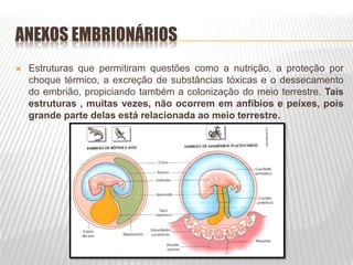 ANEXOS EMBRIONÁRIOS
 Estruturas que permitiram questões como a nutrição, a proteção por
choque térmico, a excreção de substâncias tóxicas e o dessecamento
do embrião, propiciando também a colonização do meio terrestre. Tais
estruturas , muitas vezes, não ocorrem em anfíbios e peixes, pois
grande parte delas está relacionada ao meio terrestre.
 