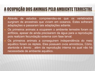 A OCUPAÇÃO DOS ANIMAIS PELO AMBIENTE TERRESTRE
 Através de estudos compreendeu-se que os vertebrados
surgiram de ancestrais que viviam em oceanos. Estes sofreram
adaptações e passaram tais adaptações adiante.
 Os primeiros animais a ocuparem o ambiente terrestre foram os
anfíbios, apesar de ainda precisarem da água para a reprodução
pois realizam fecundação externa com fase larval.
 Os primeiros animais a conseguirem independência do meio
aquático foram os répteis. Eles possuem ovos amnióticos, Cório,
alantoide e âmnio , além da reprodução interna na qual não há
necessidade de ambiente aquático.
 