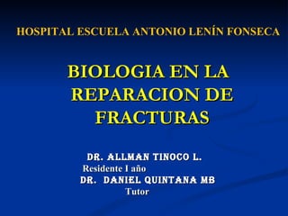 BIOLOGIA EN LA REPARACION DE FRACTURAS Dr. Allman tinoco L.  Residente I año   Dr.  Daniel quintana mb Tutor  HOSPITAL ESCUELA ANTONIO LENÍN FONSECA 