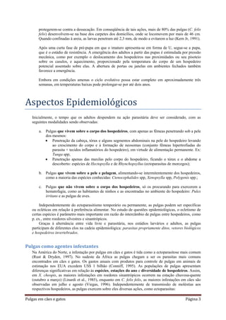 Pulgas em cães e gatos