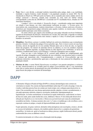 Pulgas em cães e gatos