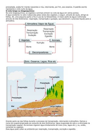 Biologia e química pga1