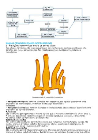 Biologia e química pga1