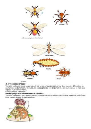 Biologia e química pga1