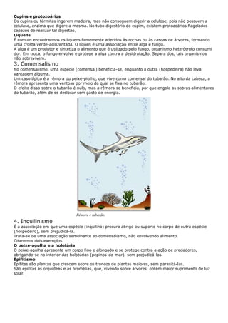 Biologia e química pga1