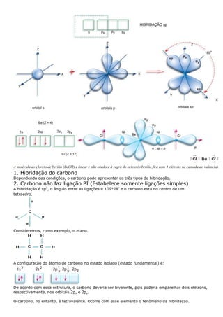 Biologia e química pga1