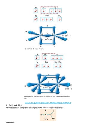 Biologia e química pga1