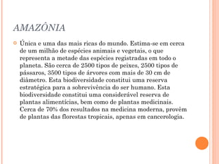 AMAZÔNIA Única e uma das mais ricas do mundo. Estima-se em cerca de um milhão de espécies animais e vegetais, o que representa a metade das espécies registradas em todo o planeta. São cerca de 2500 tipos de peixes, 2500 tipos de pássaros, 3500 tipos de árvores com mais de 30 cm de diâmetro. Esta biodiversidade constitui uma reserva estratégica para a sobrevivência do ser humano. Esta biodiversidade constitui uma considerável reserva de plantas alimentícias, bem como de plantas medicinais. Cerca de 70% dos resultados na medicina moderna, provêm de plantas das florestas tropicais, apenas em cancerologia.  
