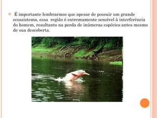 É importante lembrarmos que apesar de possuir um grande ecossistema, essa  região é extremamente sensível à interferência do homem, resultanto na perda de inúmeras espécies antes mesmo de sua descoberta.  