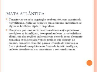 MATA ATLÂNTICA Caracteriza-se pela vegetação exuberante ,  com   acentuado higrofitismo. Entre as espécies mais comuns encontram-se algumas briófitas, cipós, e orquídeas.  Composta por uma série de ecossistemas cujos processos ecológicos se interligam, acompanhando as características climáticas das regiões onde ocorrem e tendo como elemento comum a exposição aos ventos úmidos que sopram do oceano. Isso abre caminho para o trânsito de animais, o fluxo gênico das espécies e as áreas de tensão ecológica, onde os ecossistemas se encontram e se transformam. 