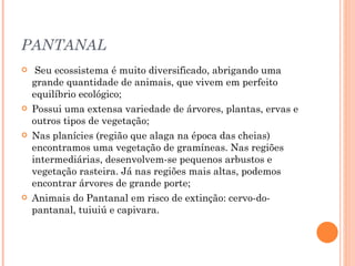PANTANAL Seu ecossistema é muito diversificado, abrigando uma grande quantidade de animais, que vivem em perfeito equilíbrio ecológico; Possui uma extensa variedade de árvores, plantas, ervas e outros tipos de vegetação; Nas planícies (região que alaga na época das cheias) encontramos uma vegetação de gramíneas. Nas regiões intermediárias, desenvolvem-se pequenos arbustos e vegetação rasteira. Já nas regiões mais altas, podemos encontrar árvores de grande porte;  Animais do Pantanal em risco de extinção: cervo-do-pantanal, tuiuiú e capivara. 