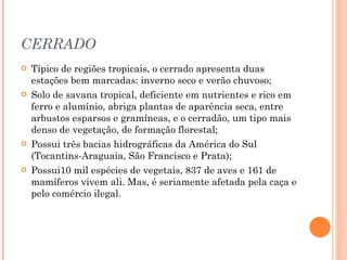 CERRADO Típico de regiões tropicais, o cerrado apresenta duas estações bem marcadas: inverno seco e verão chuvoso; Solo de savana tropical, deficiente em nutrientes e rico em ferro e alumínio, abriga plantas de aparência seca, entre arbustos esparsos e gramíneas, e o cerradão, um tipo mais denso de vegetação, de formação florestal; Possui três bacias hidrográficas da América do Sul (Tocantins-Araguaia, São Francisco e Prata); Possui10 mil espécies de vegetais, 837 de aves e 161 de mamíferos vivem ali. Mas, é seriamente afetada pela caça e pelo comércio ilegal. 
