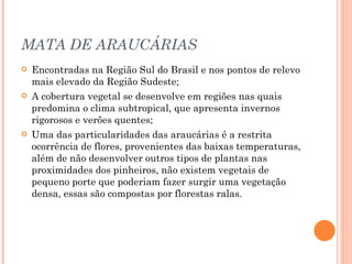 MATA DE ARAUCÁRIAS Encontradas na Região Sul do Brasil e nos pontos de relevo mais elevado da Região Sudeste; A cobertura vegetal se desenvolve em regiões nas quais predomina o clima subtropical, que apresenta invernos rigorosos e verões quentes; Uma das particularidades das araucárias é a restrita ocorrência de flores, provenientes das baixas temperaturas, além de não desenvolver outros tipos de plantas nas proximidades dos pinheiros, não existem vegetais de pequeno porte que poderiam fazer surgir uma vegetação densa, essas são compostas por florestas ralas. 